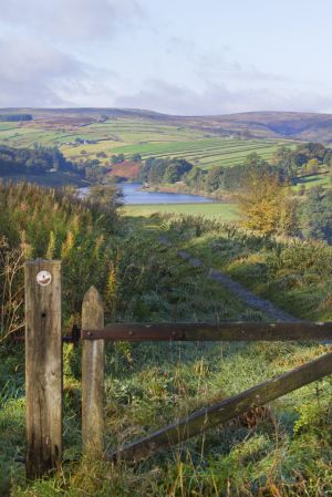 haworth moor october 4 2012 sm.jpg